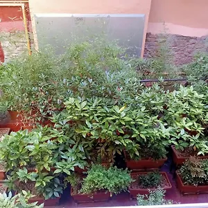 Piso Acogedor Apartamento Vitoria